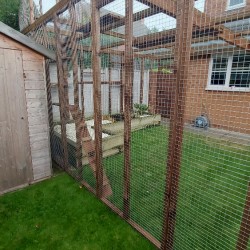 Bespoke Catservatory with look out tower Bespoke Catservatory with look out tower