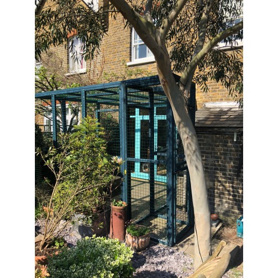 Blue Painted Catio