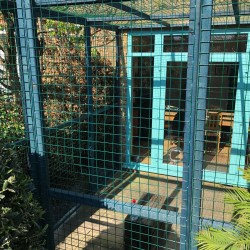Blue Painted Catio