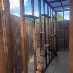 Corner Catio