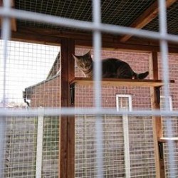 Large Shelves Pack Large Shelves Pack