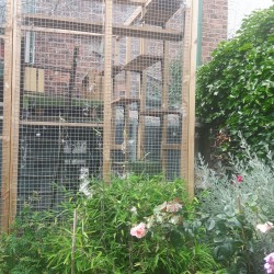 A Very Tall Catio A Very Tall Catio