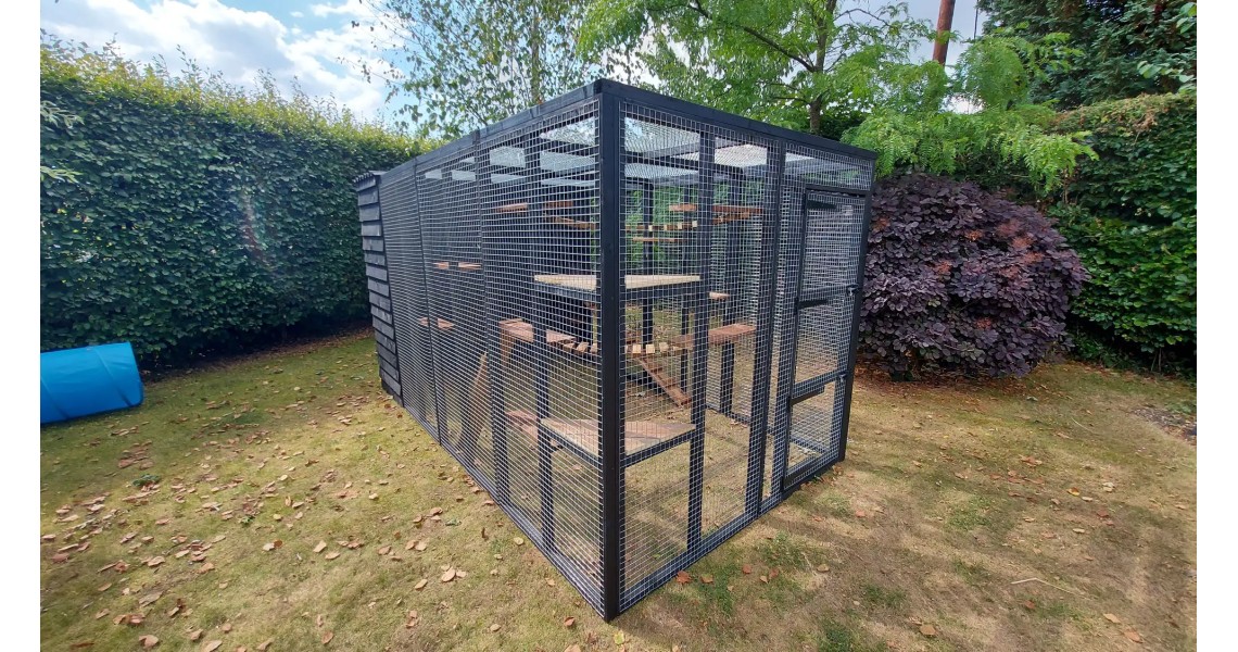 Painted Runs Painted Runs