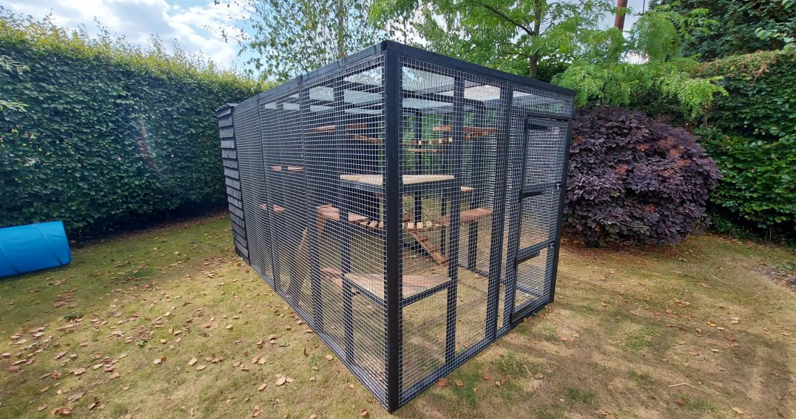 Painted Runs 🎨🖌️