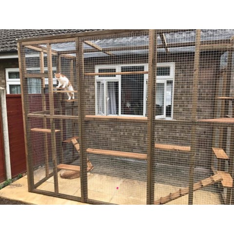 Climber’s Courtyard – 8ft x 6ft x 7.5ft Catio Enclosure 🧗‍♂️🐱