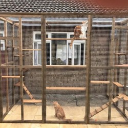 Climber’s Courtyard – 8ft x 6ft x 7.5ft Catio Enclosure 🧗♂️🐱 Climber’s Courtyard – 8ft x 6ft x 7.5ft Catio Enclosure 🧗♂️🐱