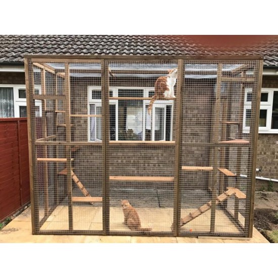 Catio / Cat Lean to 8ft x 6ft x 7.5ft tall shelves and ladders Available