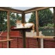 Catio / Cat Lean to 8ft x 6ft x 7.5ft tall shelves and ladders Available