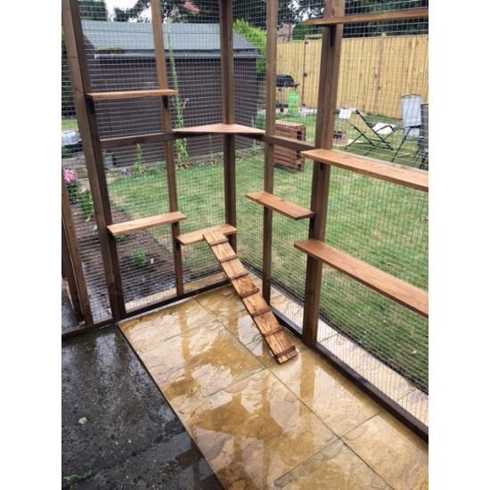 Climber’s Courtyard – 8ft x 6ft x 7.5ft Catio Enclosure 🧗‍♂️🐱