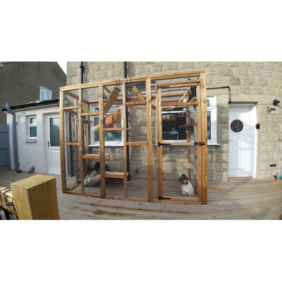 The Slimline Sanctuary – 8ft x 3ft x 7.5ft Lean-To Catio 🌿🐱
