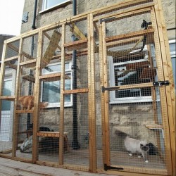 The Slimline Sanctuary – 8ft x 3ft x 7.5ft Lean-To Catio 🌿🐱 The Slimline Sanctuary – 8ft x 3ft x 7.5ft Lean-To Catio 🌿🐱