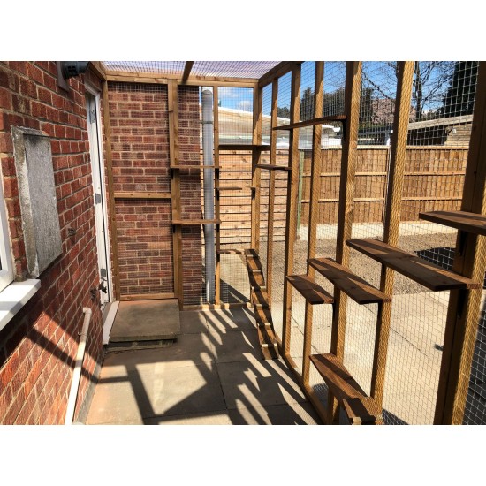 The Garden Retreat – 12ft x 6ft x 7.5ft Lean-To Catio 🌿🐈