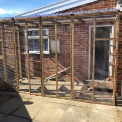 The Garden Retreat – 12ft x 6ft x 7.5ft Lean-To Catio 🌿🐈