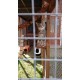 Catio / Cat Lean to 12ft x 4ft x 8ft Tall With Waterproof Roof