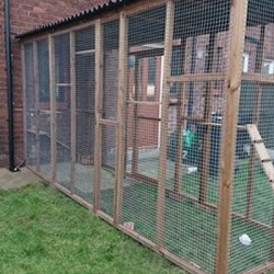 The Catwalk Vista β 12ft x 4ft x 8ft Lean-To Catio πΎβ¨πββ¬ The Catwalk Vista β 12ft x 4ft x 8ft Lean-To Catio πΎβ¨πββ¬