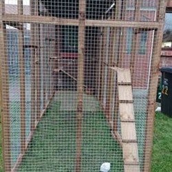 The Catwalk Vista β 12ft x 4ft x 8ft Lean-To Catio πΎβ¨πββ¬ The Catwalk Vista β 12ft x 4ft x 8ft Lean-To Catio πΎβ¨πββ¬