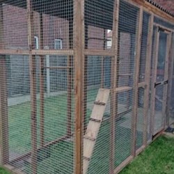The Catwalk Vista – 12ft x 4ft x 8ft Lean-To Catio 🐾✨🐈‍⬛