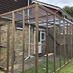 The Whisker Woods Lean-To – 12ft x 6ft x 8ft  with Dual Roof Design 🌦️🌲🐾