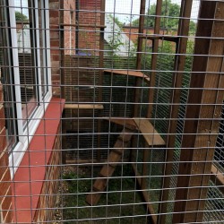 Purr-fect Playhouse! 6ft x 3ft x 7ft5" Lean-To Catio — Explore and Roam Safely! 🐱🌳🐾