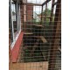 Catio / Cat Lean to 6ft x 3ft x 7ft5"