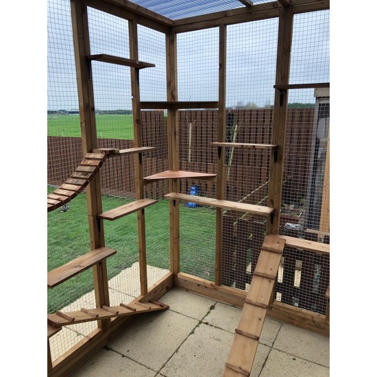 The Meow Mews – 6ft x 9ft x 7.5ft Lean-To Catio 😺🐾🏠