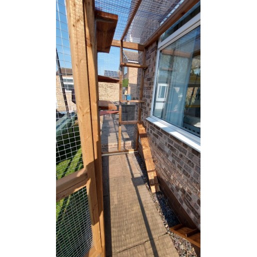 The Purr-side Pavilion – 8ft x 4ft 3-Sided Lean-To Catio 🐾🌿