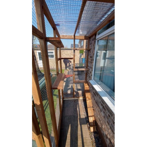 The Purr-side Pavilion – 8ft x 4ft 3-Sided Lean-To Catio 🐾🌿