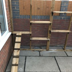 The Hide and Peek – 6ft x 6ft x 7.5ft Outdoor Cat Run 🕵️‍♂️🐾