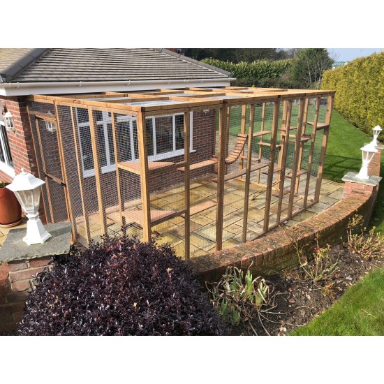 Catio / Cat Lean to 12ft x 8ft x 8ft Cat run