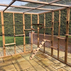The Whisker Lodge – 12ft8" x 8ft Lean-To Catio with Shelves and Roof Options