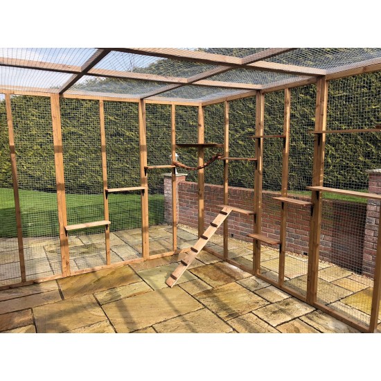 The Whisker Lodge – 12ft8" x 8ft Lean-To Catio with Shelves and Roof Options 🐈‍⬛ 🛖🐾