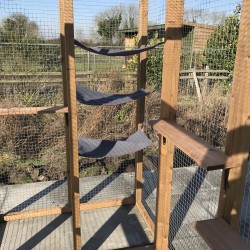 Free Standing  6x4 Cat Run – Freestanding Frame with Optional Shelves & Roof 😻🐾🐈