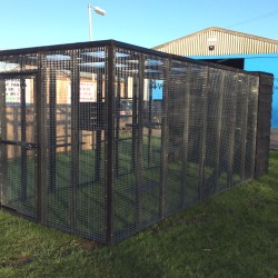 Black Cat Run With Raised Sleeping Box 6ft x 14ft+ Black Cat Run With Raised Sleeping Box 6ft x 14ft+