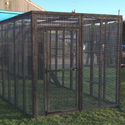 Black Cat Run With Raised Sleeping Box 6ft x 14ft+ Black Cat Run With Raised Sleeping Box 6ft x 14ft+