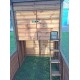 Luxury Cat Run With Raised Sleeping Box 4ft x 8ft