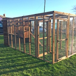 Cat Run With Sleeping box 14ft+ & Internal Safety Door