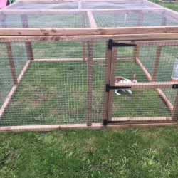 Rabbit / chicken run 3ft tall with door and mesh roof Rabbit / chicken run 3ft tall with door and mesh roof