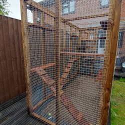 Bespoke 2 enclosures connected by tunnel