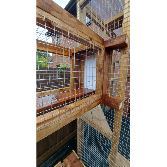 Bespoke 2 enclosures connected by tunnel