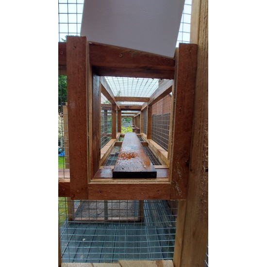 Bespoke 2 enclosures connected by tunnel